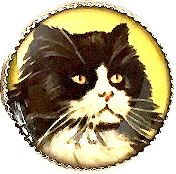 Last Ones, Cat Portrait, Black & White Longhair Kitty on Yellow 18mm Winky and Dutch 3/4" Shank Back Button